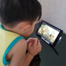 유아영어 실사자연관찰책 뉴베이비애니멀즈 아이가 좋아해요