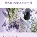 아모레플라워 이미지