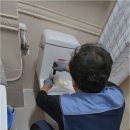 비데누리 이미지