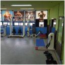 와룡복싱 이미지