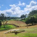 윤미목장 이미지