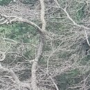 화원2리마을회관 이미지