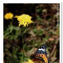 고령군개진면보건지소 이미지