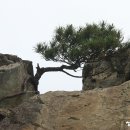 봉수축산 이미지