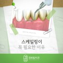 경희탑치과의원 네이버블로그