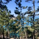 대왕암공원해안화장실 이미지