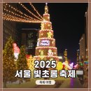 대형조형물 | 청계천 <2025 서울빛초롱축제> 대형 크리스마스 트리, 각종 조형물, 잉어킹, 갸라도스 사진촬영 및 방문...