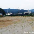 삼영장식