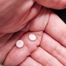 Gold Game | 250729 호주 낚시 - 골드코스트 선상 낚시 1편 - 선상 참치 (Tuna) 낚시 체험 후기! 호주 낚시 재밌네요.