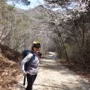 자진뱅이길 이미지