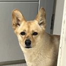 투썸플레이스군산나운점 이미지