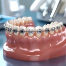 림플란트치과의원 이미지