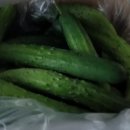 민숙농장 이미지