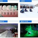 명품 칠갑산 얼음분수 축제 이미지