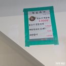 안양역 맛집) 농부네 뒷고기 안양점 방문 후기! 특수부위 세트