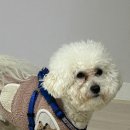 (주)군왕봉 | 도파민 가득했던 일주일