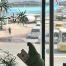 다이어트 1주차 후기 , 다이어츠 보조제 메타웰 비라이토