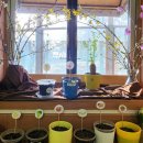 새싹예술 어린이집 이미지