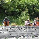 성호농원 이미지