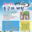 꿀밤농장 이미지