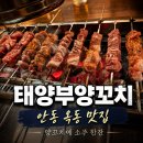 청년양고기안동옥동점 | 안동 옥동 맛집 태양부양꼬치, 주말 저녁 양꼬치에 소주 한잔한 후기