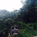 깊은사나래 이미지