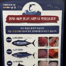 VIP 참치 석탄회관점 이미지