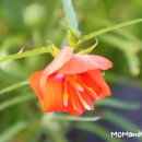 아침풍경 이미지