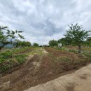 아화2리 이미지