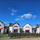 판포레스트 이미지