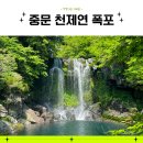 버스정류소_천제연폭포 | 천제연폭포 뚜벅이 제주 여행으로 다녀온 후기
