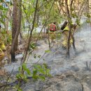 대구동평초등학교 이미지
