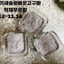 마적고기 이미지