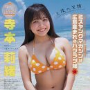 테라모토
