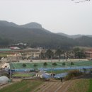 조도초등학교 이미지