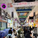 제성농장 | 제주가볼만한곳 서귀포 매일올레시장 야시장 먹거리 맛집 정복하고 방어회 포장