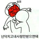 성문자동차 이미지