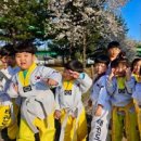 다움태권도장 이미지