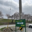 카페 삼랑 밀양 삼랑진 황금 리버뷰 벚꽃 명소