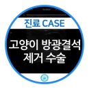 서울동물의료센터 이미지