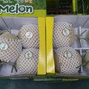 곡성 국립농산물품질관리원 이미지