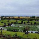 우도피아 이미지