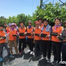 신흥3농장 이미지