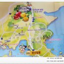 월정방풍림 이미지