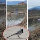 외동배수펌프장 이미지