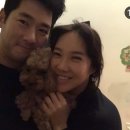 달콤한일상