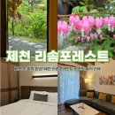 연못 게임장 | 제천 리솜 포레스트 솔직 후기 수영장부터 산책로까지 완벽했던 힐링여행 ! (룸서비스 닭강정까지 !)