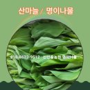 자포농장 네이버블로그