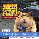 더 피티 이미지