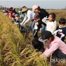 전라남도 농업박물관(테마공원) 이미지